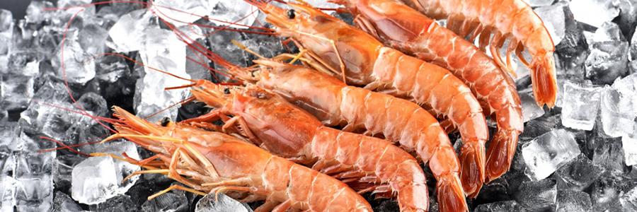 Envasado de alimentos congelados