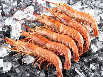 Envasado de alimentos congelados