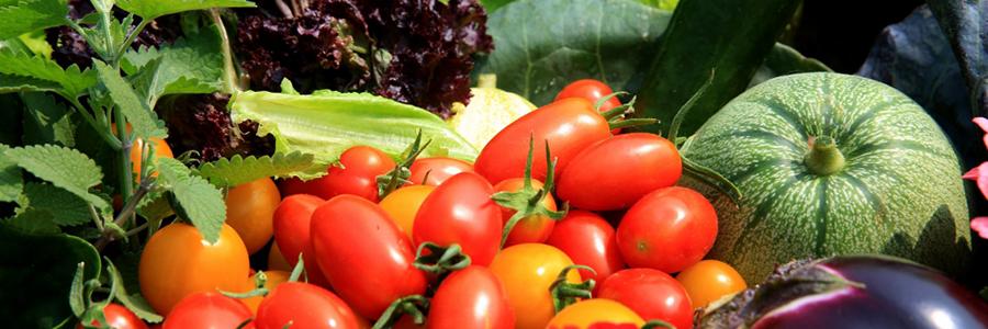 Envasado de frutas y verduras
