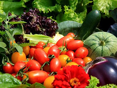 Envasado de frutas y verduras
